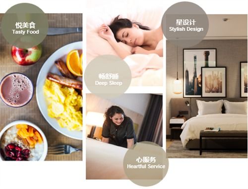 賦能合作 共創未來——麗怡酒店企業大客戶沙龍在長沙圓滿落幕
